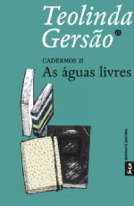 As águas livres : cadernos II 